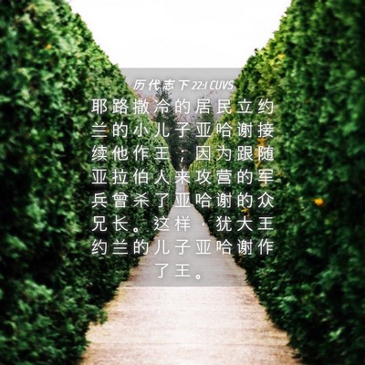 Picture 04 - 历 代 志 下 22:1 CUVS - 耶 路 撒 冷 的 居 民 立 约 兰 的 小 - Bible Verse Picture