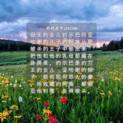 Picture 04 - 历 代 志 下 22:11 CUVS - 但 王 的 女 儿 约 示 巴 将 亚 哈 谢 - Bible Verse Picture