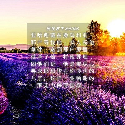 Picture 04 - 历 代 志 下 22:9 CUVS - 亚 哈 谢 藏 在 撒 玛 利 亚 ， 耶 户 - Bible Verse Picture