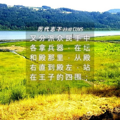 Picture 04 - 历 代 志 下 23:10 CUVS - 又 分 派 众 民 手 中 各 拿 兵 器 ， - Bible Verse Picture