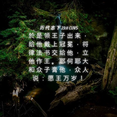Picture 04 - 历 代 志 下 23:11 CUVS - 於 是 领 王 子 出 来 ， 给 他 戴 上 - Bible Verse Picture