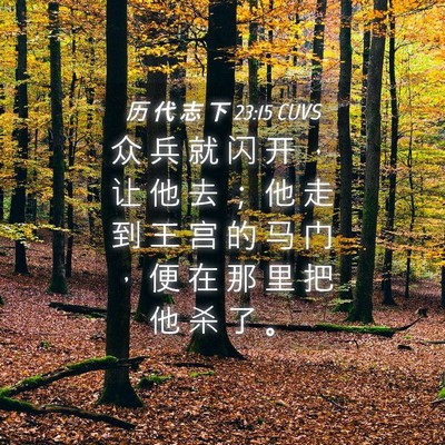 Picture 04 - 历 代 志 下 23:15 CUVS - 众 兵 就 闪 开 ， 让 他 去 ； 他 走 - Bible Verse Picture