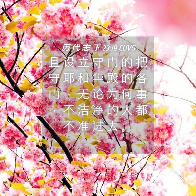 Picture 04 - 历 代 志 下 23:19 CUVS - 且 设 立 守 门 的 把 守 耶 和 华 殿 - Bible Verse Picture