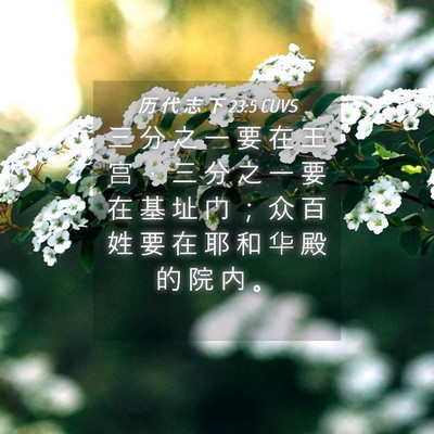 Picture 04 - 历 代 志 下 23:5 CUVS - 三 分 之 一 要 在 王 宫 ， 三 分 之 - Bible Verse Picture