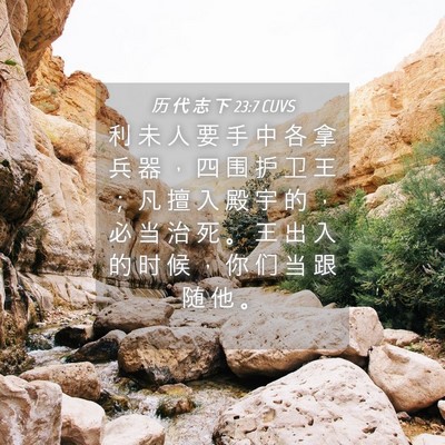 Picture 04 - 历 代 志 下 23:7 CUVS - 利 未 人 要 手 中 各 拿 兵 器 ， 四 - Bible Verse Picture