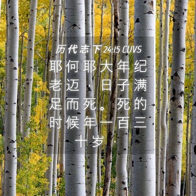 Picture 04 - 历 代 志 下 24:15 CUVS - 耶 何 耶 大 年 纪 老 迈 ， 日 子 满 - Bible Verse Picture