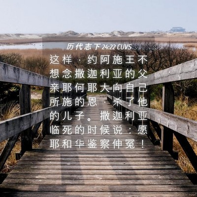 Picture 04 - 历 代 志 下 24:22 CUVS - 这 样 ， 约 阿 施 王 不 想 念 撒 迦 - Bible Verse Picture