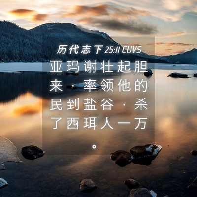 Picture 04 - 历 代 志 下 25:11 CUVS - 亚 玛 谢 壮 起 胆 来 ， 率 领 他 的 - Bible Verse Picture