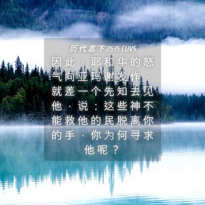Picture 04 - 历 代 志 下 25:15 CUVS - 因 此 ， 耶 和 华 的 怒 气 向 亚 玛 - Bible Verse Picture