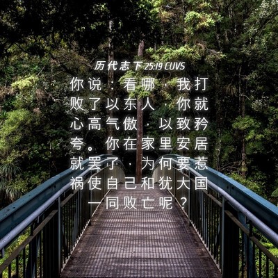 Picture 04 - 历 代 志 下 25:19 CUVS - 你 说 ： 看 哪 ， 我 打 败 了 以 东 - Bible Verse Picture