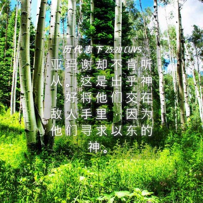 Picture 04 - 历 代 志 下 25:20 CUVS - 亚 玛 谢 却 不 肯 听 从 。 这 是 出 - Bible Verse Picture