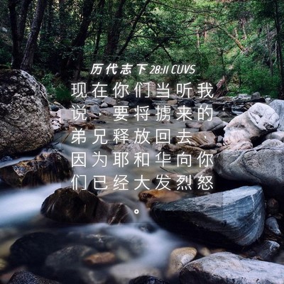Picture 04 - 历 代 志 下 28:11 CUVS - 现 在 你 们 当 听 我 说 ， 要 将 掳 - Bible Verse Picture