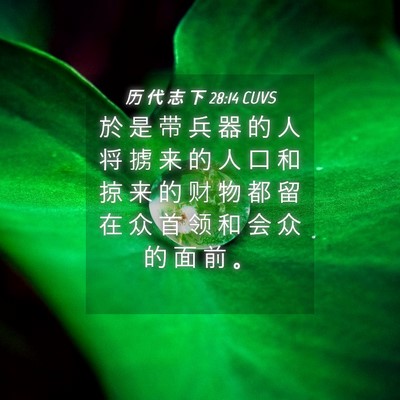 Picture 04 - 历 代 志 下 28:14 CUVS - 於 是 带 兵 器 的 人 将 掳 来 的 人 - Bible Verse Picture