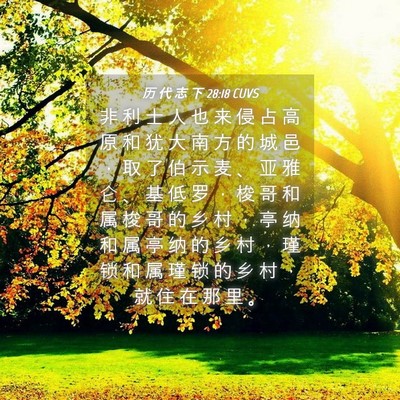 Picture 04 - 历 代 志 下 28:18 CUVS - 非 利 士 人 也 来 侵 占 高 原 和 犹 - Bible Verse Picture