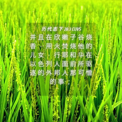 Picture 04 - 历 代 志 下 28:3 CUVS - 并 且 在 欣 嫩 子 谷 烧 香 ， 用 火 - Bible Verse Picture