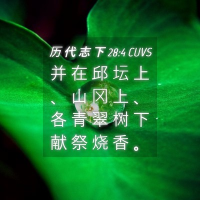 Picture 04 - 历 代 志 下 28:4 CUVS - 并 在 邱 坛 上 、 山 冈 上 、 各 青 - Bible Verse Picture