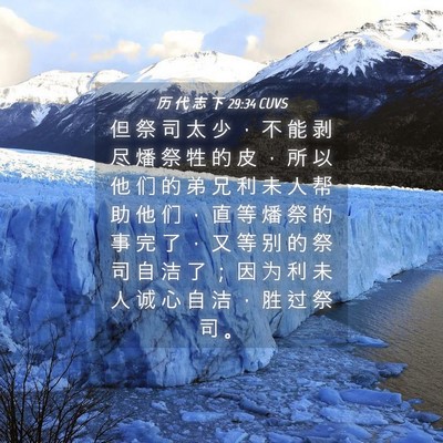 Picture 04 - 历 代 志 下 29:34 CUVS - 但 祭 司 太 少 ， 不 能 剥 尽 燔 祭 - Bible Verse Picture