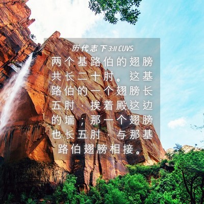 Picture 04 - 历 代 志 下 3:11 CUVS - 两 个 基 路 伯 的 翅 膀 共 长 二 十 - Bible Verse Picture