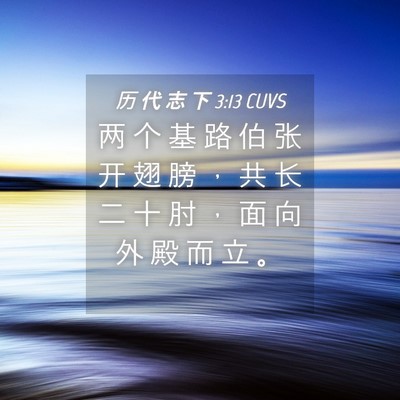 Picture 04 - 历 代 志 下 3:13 CUVS - 两 个 基 路 伯 张 开 翅 膀 ， 共 长 - Bible Verse Picture