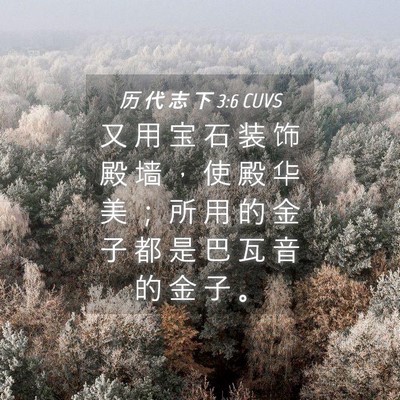 Picture 04 - 历 代 志 下 3:6 CUVS - 又 用 宝 石 装 饰 殿 墙 ， 使 殿 华 - Bible Verse Picture