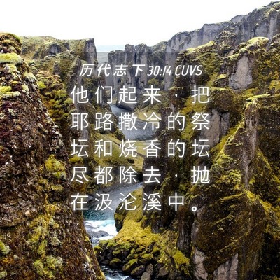 Picture 04 - 历 代 志 下 30:14 CUVS - 他 们 起 来 ， 把 耶 路 撒 冷 的 祭 - Bible Verse Picture