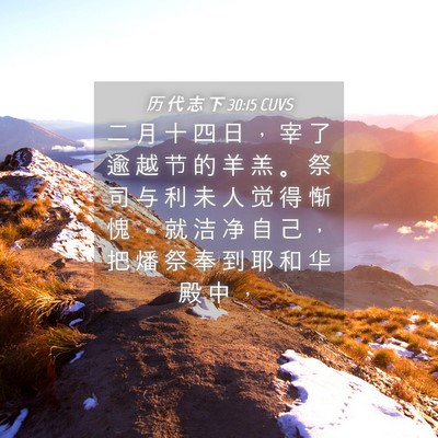 Picture 04 - 历 代 志 下 30:15 CUVS - 二 月 十 四 日 ， 宰 了 逾 越 节 的 - Bible Verse Picture