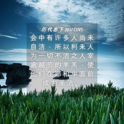 Picture 04 - 历 代 志 下 30:17 CUVS - 会 中 有 许 多 人 尚 未 自 洁 ， 所 - Bible Verse Picture