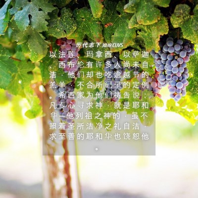 Picture 04 - 历 代 志 下 30:18 CUVS - 以 法 莲 、 玛 拿 西 、 以 萨 迦 、 - Bible Verse Picture