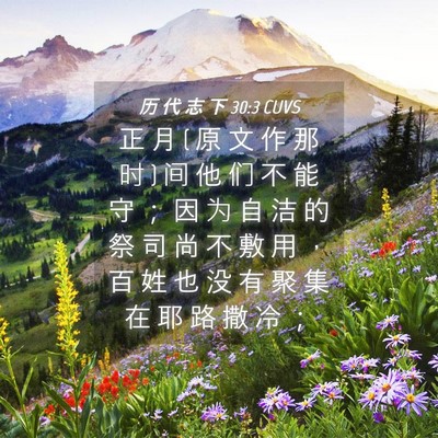 Picture 04 - 历 代 志 下 30:3 CUVS - 正 月 ( 原 文 作 那 时 ) 间 他 们 不 - Bible Verse Picture