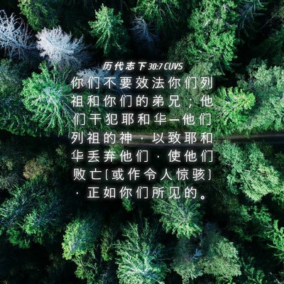 Picture 04 - 历 代 志 下 30:7 CUVS - 你 们 不 要 效 法 你 们 列 祖 和 你 - Bible Verse Picture