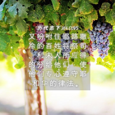 Picture 04 - 历 代 志 下 31:4 CUVS - 又 吩 咐 住 耶 路 撒 冷 的 百 姓 将 - Bible Verse Picture