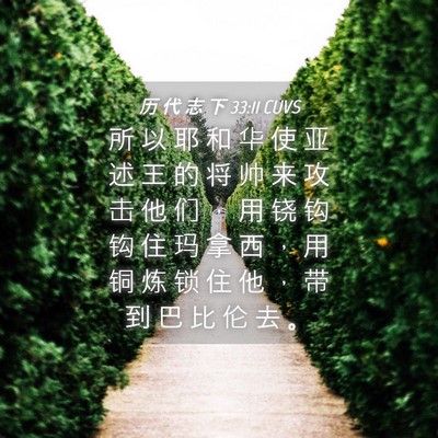 Picture 04 - 历 代 志 下 33:11 CUVS - 所 以 耶 和 华 使 亚 述 王 的 将 帅 - Bible Verse Picture