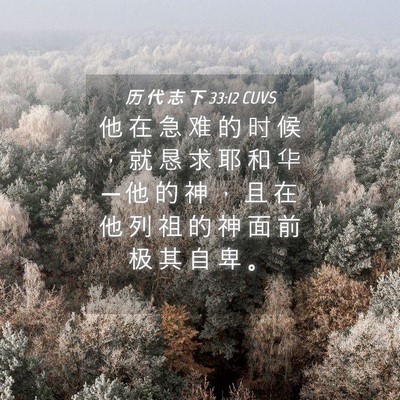 Picture 04 - 历 代 志 下 33:12 CUVS - 他 在 急 难 的 时 候 ， 就 恳 求 耶 - Bible Verse Picture