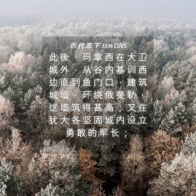 Picture 04 - 历 代 志 下 33:14 CUVS - 此 後 ， 玛 拿 西 在 大 卫 城 外 ， - Bible Verse Picture