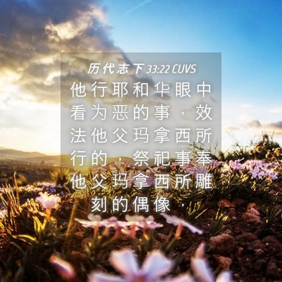 Picture 04 - 历 代 志 下 33:22 CUVS - 他 行 耶 和 华 眼 中 看 为 恶 的 事 - Bible Verse Picture