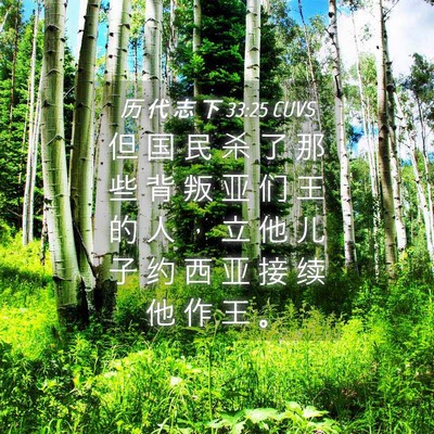 Picture 04 - 历 代 志 下 33:25 CUVS - 但 国 民 杀 了 那 些 背 叛 亚 们 王 - Bible Verse Picture