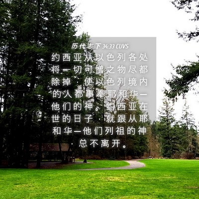 Picture 04 - 历 代 志 下 34:33 CUVS - 约 西 亚 从 以 色 列 各 处 将 一 切 - Bible Verse Picture