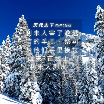 Picture 04 - 历 代 志 下 35:11 CUVS - 利 未 人 宰 了 逾 越 节 的 羊 羔 ， - Bible Verse Picture
