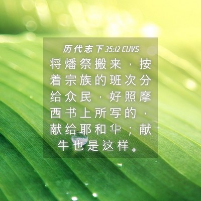 Picture 04 - 历 代 志 下 35:12 CUVS - 将 燔 祭 搬 来 ， 按 着 宗 族 的 班 - Bible Verse Picture
