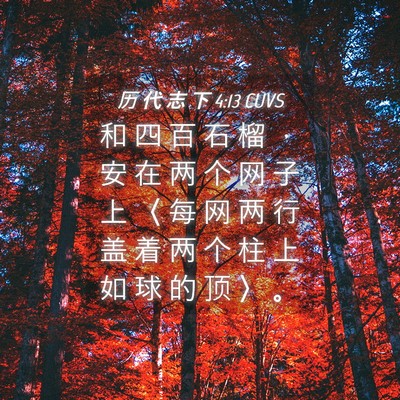 Picture 04 - 历 代 志 下 4:13 CUVS - 和 四 百 石 榴 ， 安 在 两 个 网 子 - Bible Verse Picture