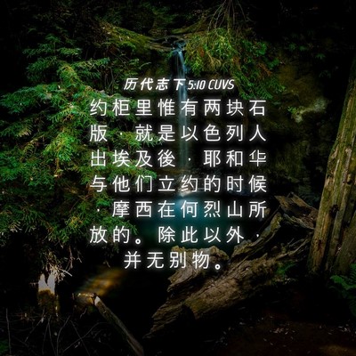 Picture 04 - 历 代 志 下 5:10 CUVS - 约 柜 里 惟 有 两 块 石 版 ， 就 是 - Bible Verse Picture