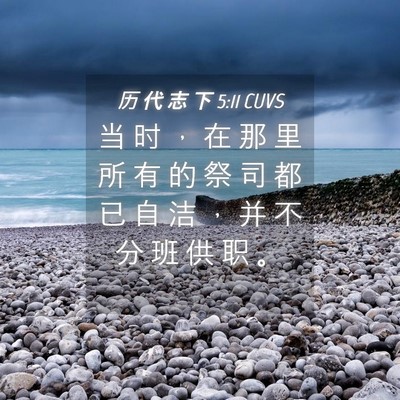 Picture 04 - 历 代 志 下 5:11 CUVS - 当 时 ， 在 那 里 所 有 的 祭 司 都 - Bible Verse Picture