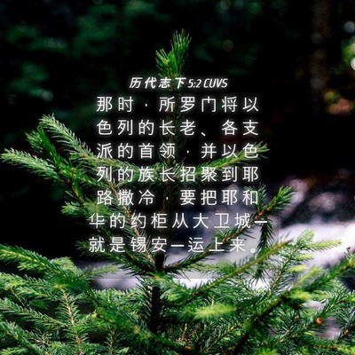 Picture 04 - 历 代 志 下 5:2 CUVS - 那 时 ， 所 罗 门 将 以 色 列 的 长 - Bible Verse Picture