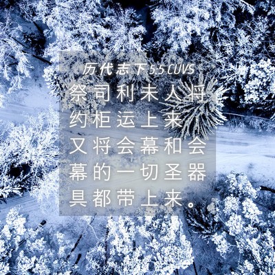 Picture 04 - 历 代 志 下 5:5 CUVS - 祭 司 利 未 人 将 约 柜 运 上 来 ， - Bible Verse Picture