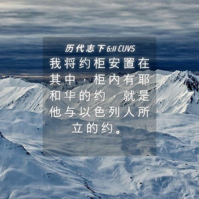 Picture 04 - 历 代 志 下 6:11 CUVS - 我 将 约 柜 安 置 在 其 中 ， 柜 内 - Bible Verse Picture