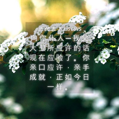 Picture 04 - 历 代 志 下 6:15 CUVS - 向 你 仆 人 ─ 我 父 大 卫 所 应 许 - Bible Verse Picture