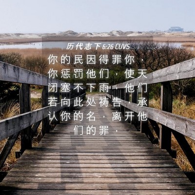 Picture 04 - 历 代 志 下 6:26 CUVS - 你 的 民 因 得 罪 你 ， 你 惩 罚 他 - Bible Verse Picture