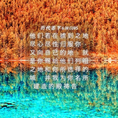 Picture 04 - 历 代 志 下 6:38 CUVS - 他 们 若 在 掳 到 之 地 尽 心 尽 性 - Bible Verse Picture