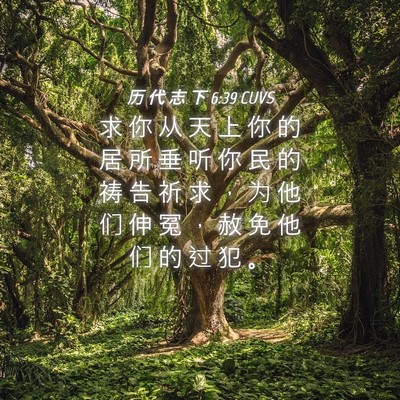 Picture 04 - 历 代 志 下 6:39 CUVS - 求 你 从 天 上 你 的 居 所 垂 听 你 - Bible Verse Picture
