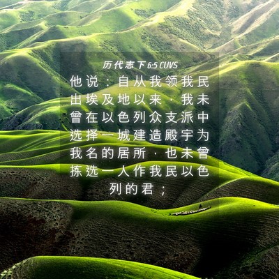 Picture 04 - 历 代 志 下 6:5 CUVS - 他 说 ： 自 从 我 领 我 民 出 埃 及 - Bible Verse Picture